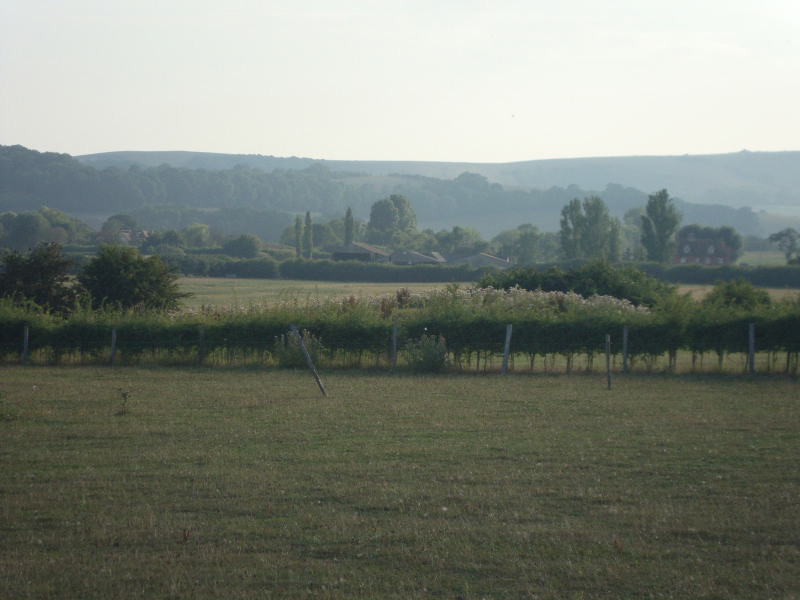 Views_towards_the_downs